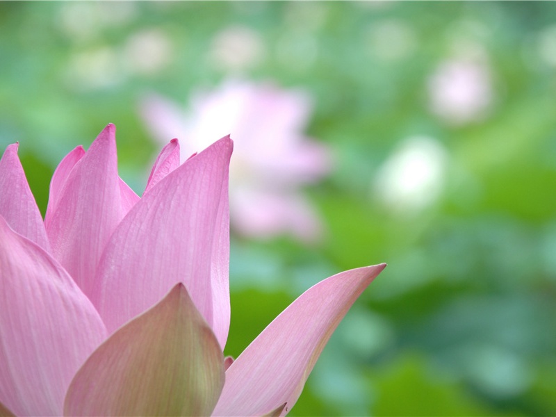 六一儿童节发的说说,61节日祝福语(42句)