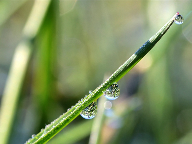 下雨后空气清新的优美句子,雨后心情也很好的心情说说(30句)
