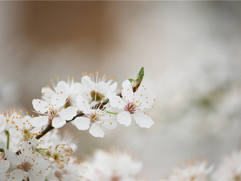 祝老师教师节祝福短语(35句)