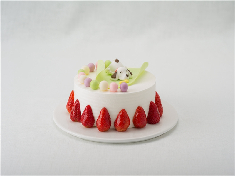 适合生日发朋友圈的句子(40句)