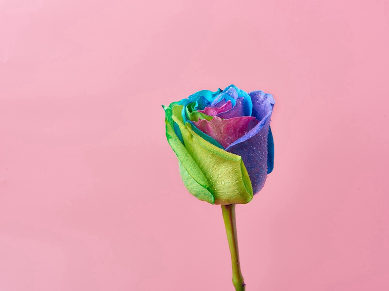 感叹人生变化无常的句子(31句)