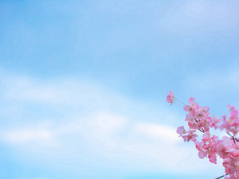 风景如画的唯美句子,拍风景照发朋友圈说说(30句)