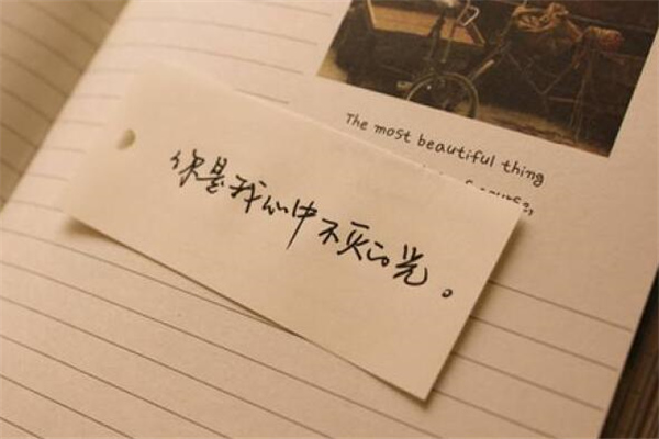 做事拼尽全力的句子(35句)