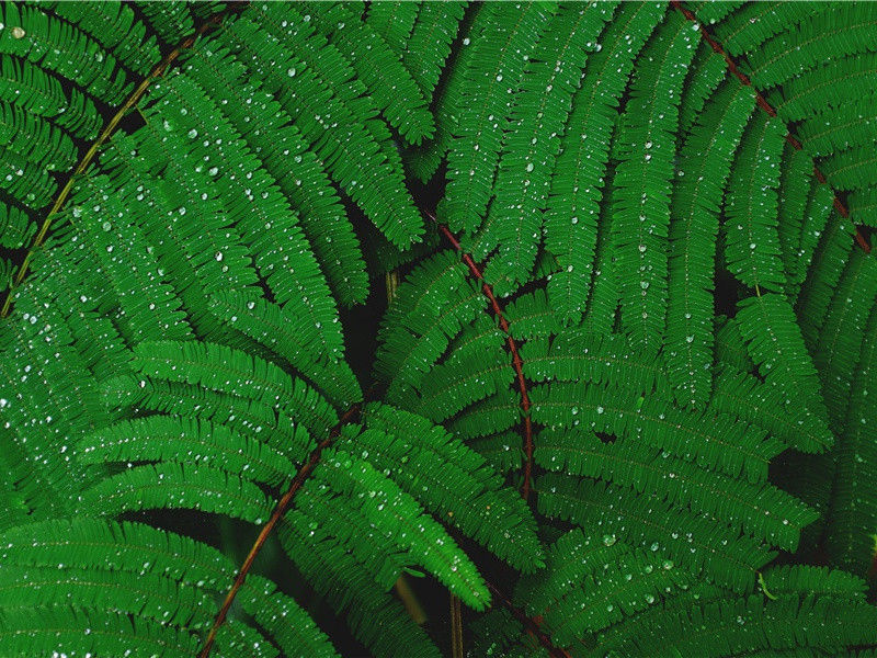 愚人节个性说说短句(30句)