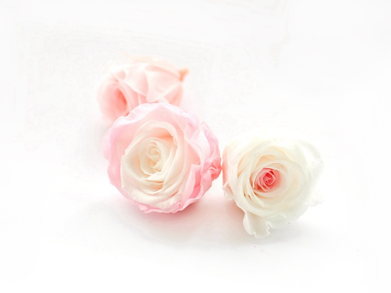 教师节致敬老师的话语(40句)