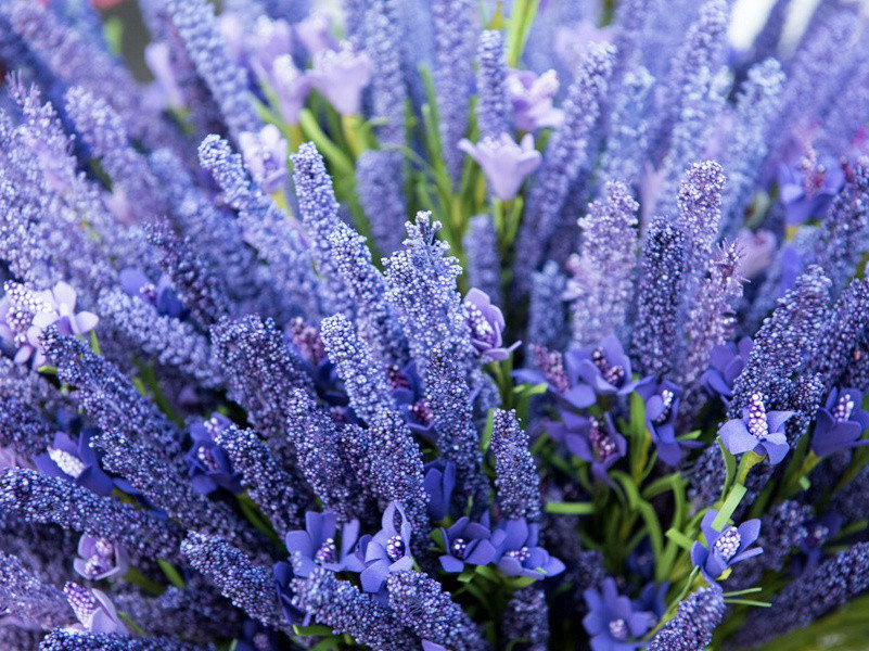 快乐五一劳动节微信(30句)
