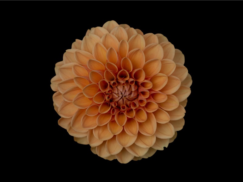 六一儿童节对小朋友的祝福语(68句)