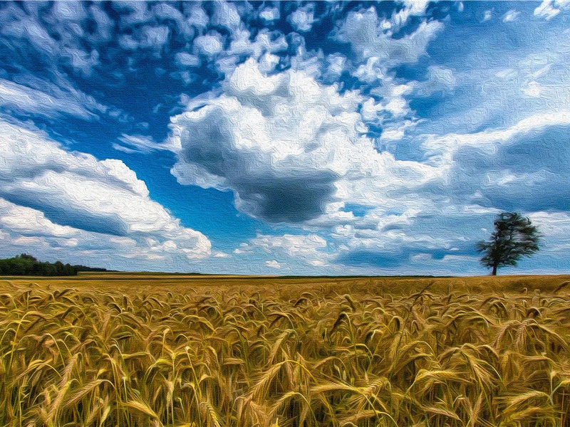 站在山顶的说说心情朋友圈(21句)