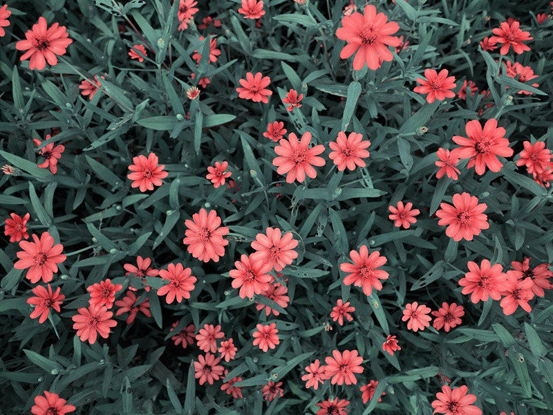 六一儿童节祝福语大全(30句)