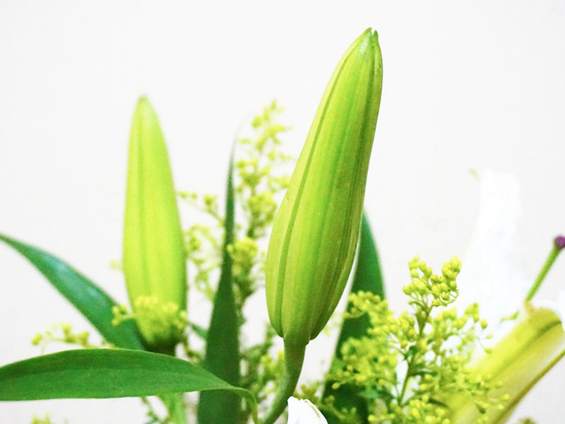 祝元宵节快乐的微信(38句)