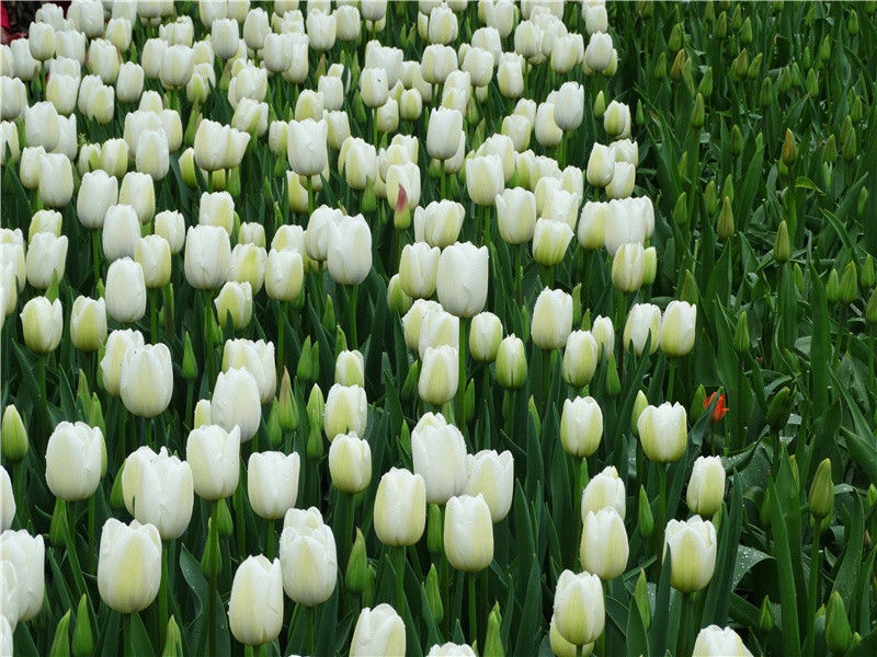 周末祝福短信给客户(30句)