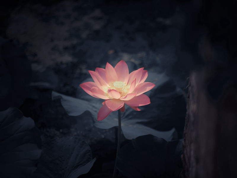 早上上班问候语(30句)