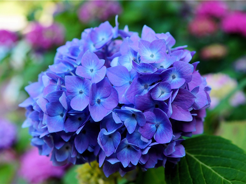 牛年春节温情祝福语(19句)