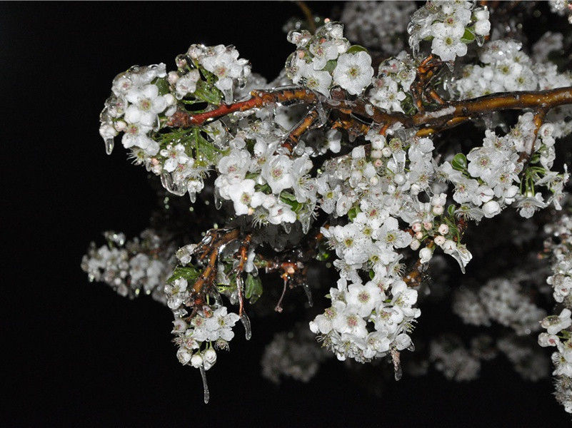父亲节朋友圈说说大全(68句)