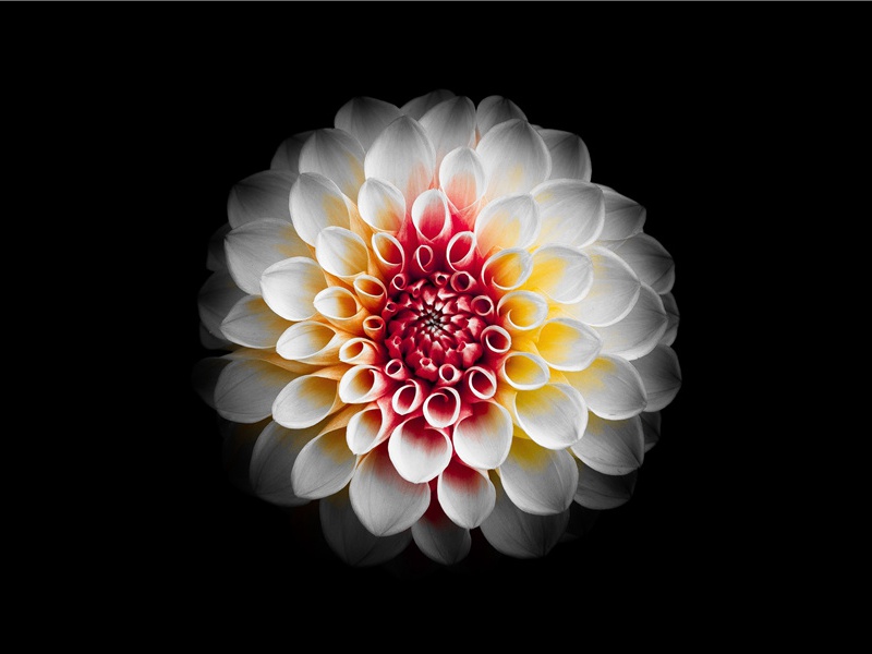 美发店开业祝福语(30句)