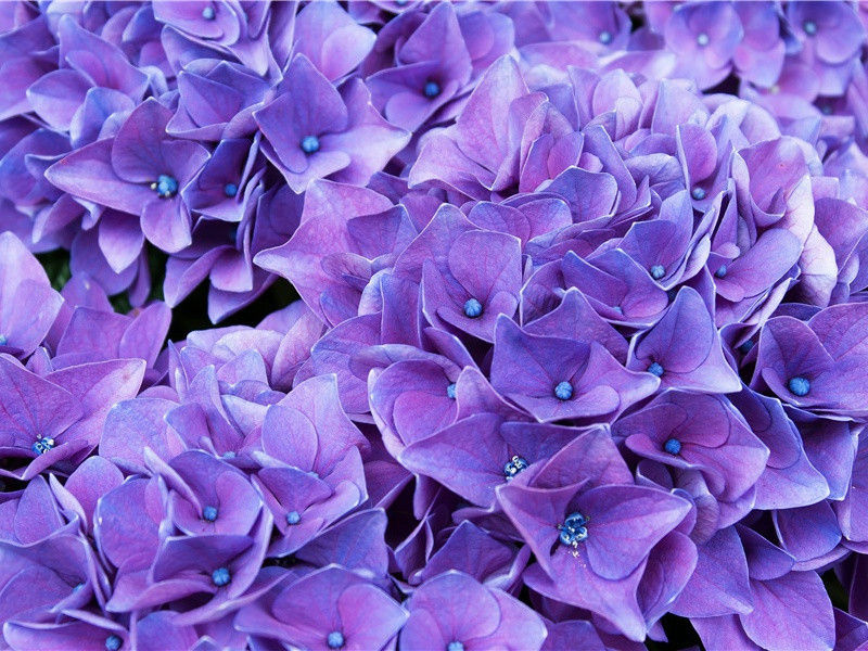 晚安温馨句子朋友圈(30句)