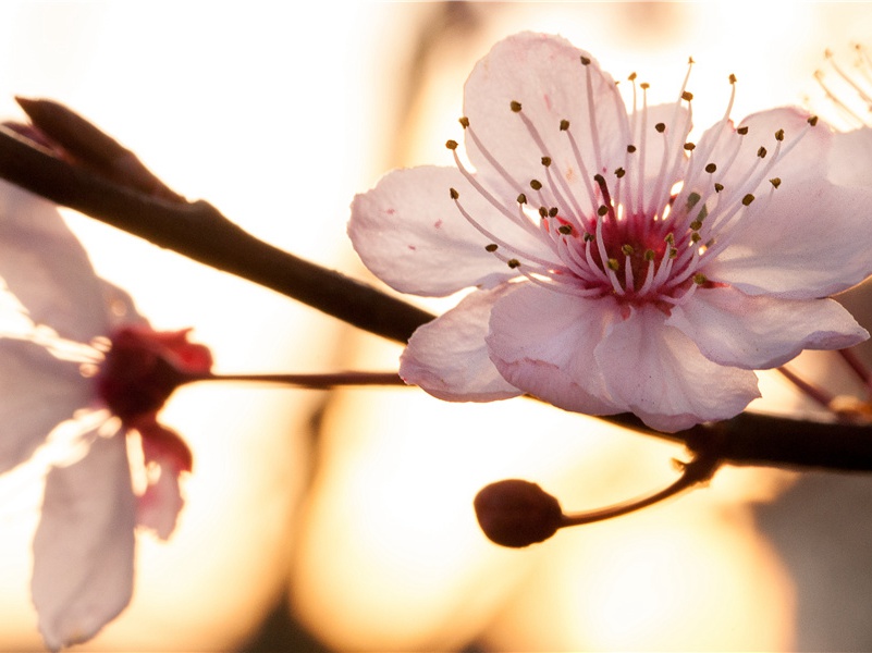 祝福教师节快乐的说说(72句)