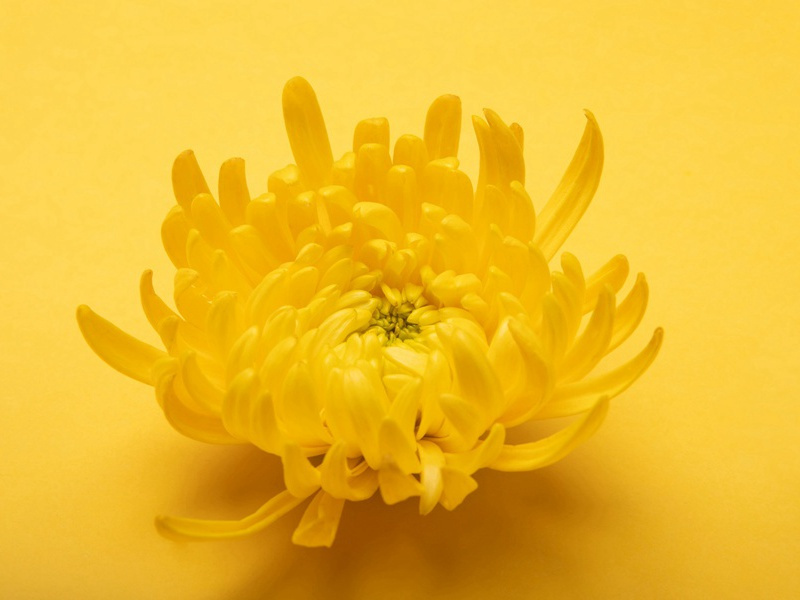 祝老板开业祝福语大全(30句)