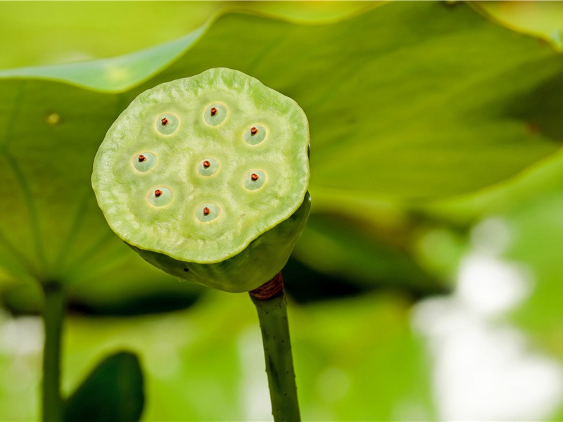 正能量的早安问候语(30句)
