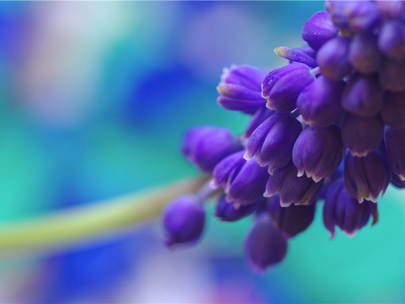 生意兴隆祝福语经典(50句)