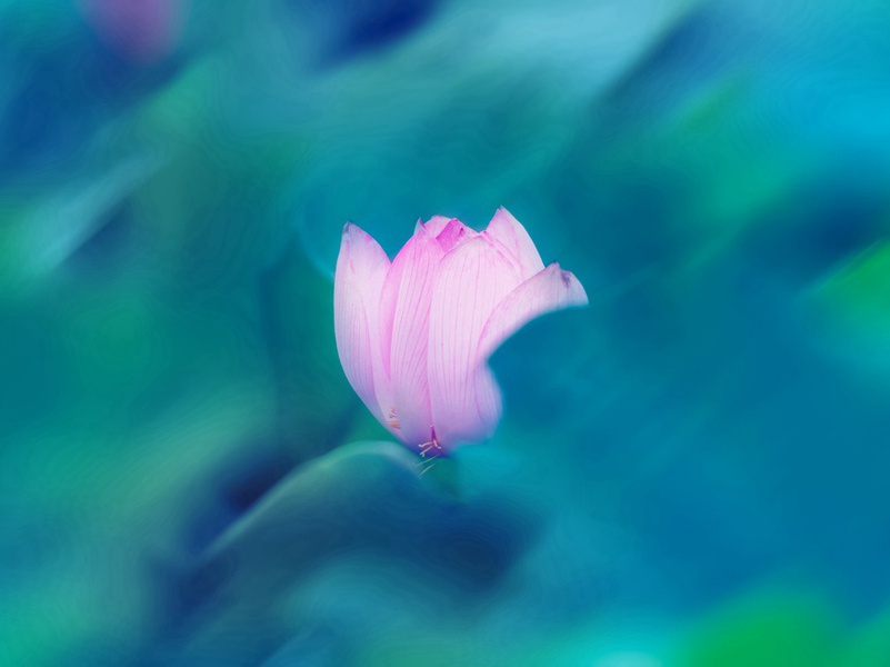 健康养生祝福语大全(30句)