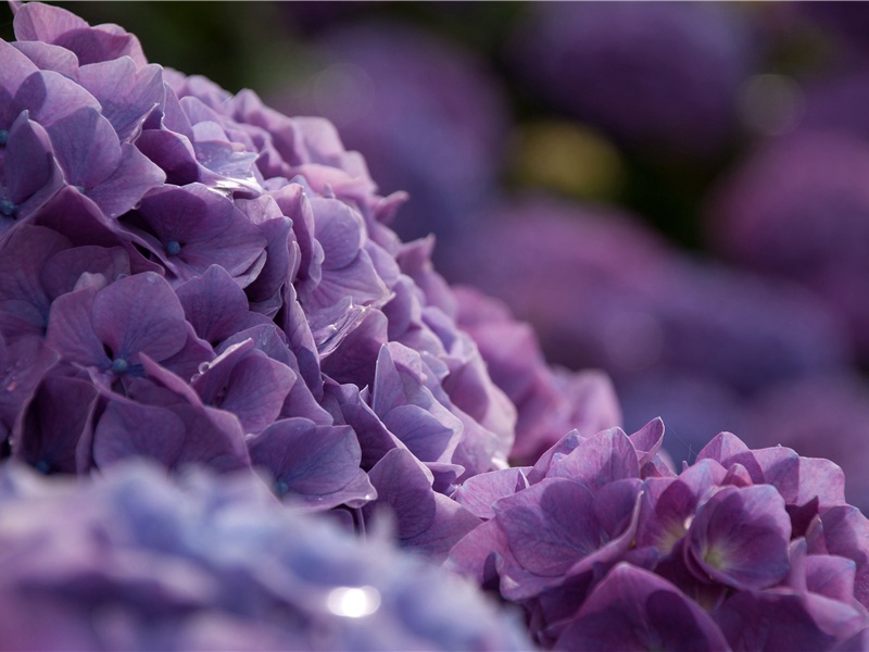 五四青年节积极祝福语(30句)