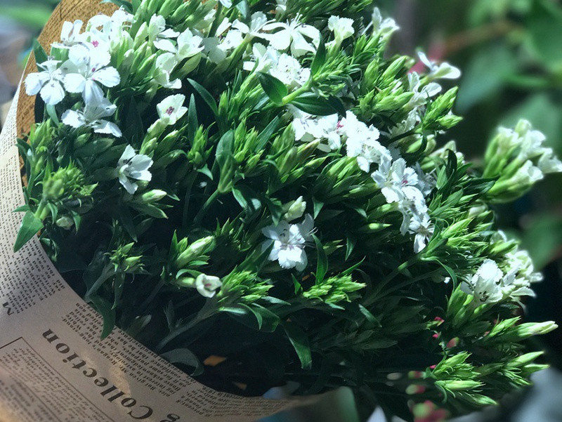 自己家开业祝福语大全(30句)