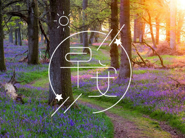 2021年最火的早安句子 初冬早晨的图片