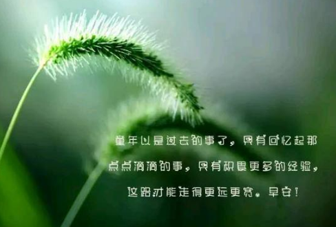 描写眼睛的唯美句子经典段落100字