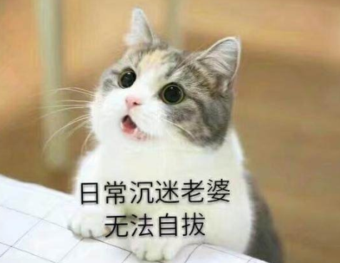 老公写给老婆感动的话