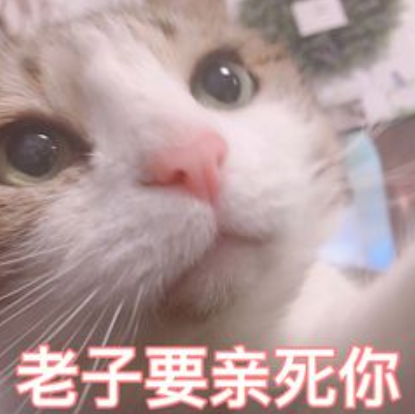世界经典情话语录