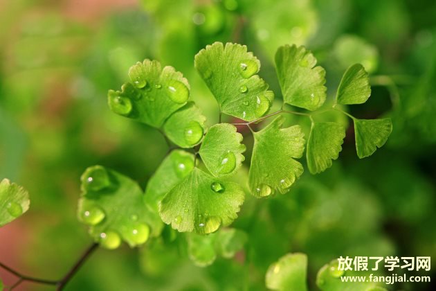 2019晚安心语优美语句说说心情句子
