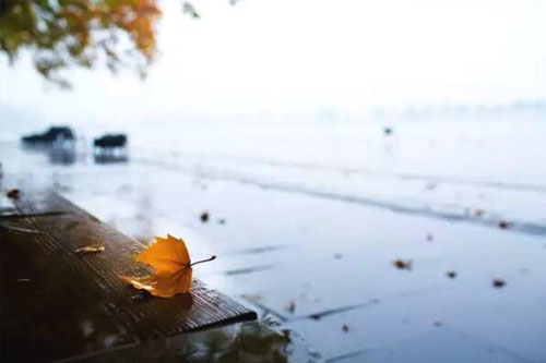 秋雨绵绵的唯美句子 描写秋雨绵绵的句子
