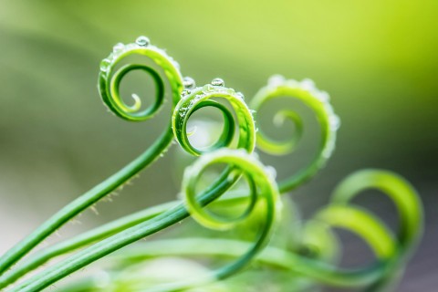 唯美简洁的句子