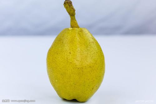 描写梨子的句子