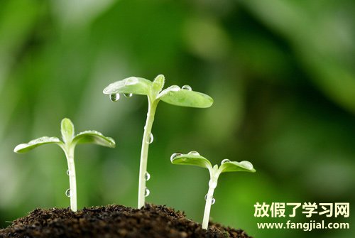 春天是怎么来的仿写句子 春天是怎么来的写一句话