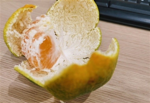 又到了吃橘子的季节说说