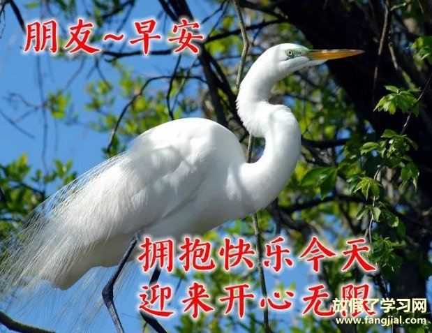 早上好图片 最新图片