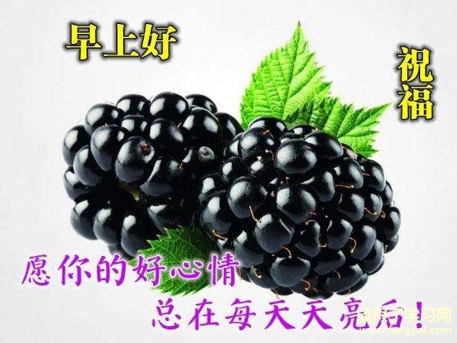 早上好图片 最新图片