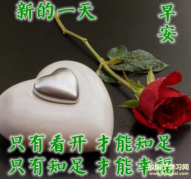 早上好图片 最新图片