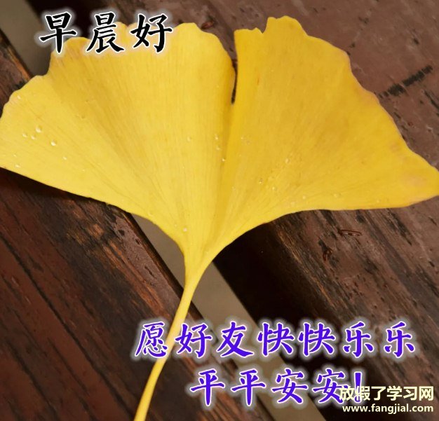 早上好图片 最新图片