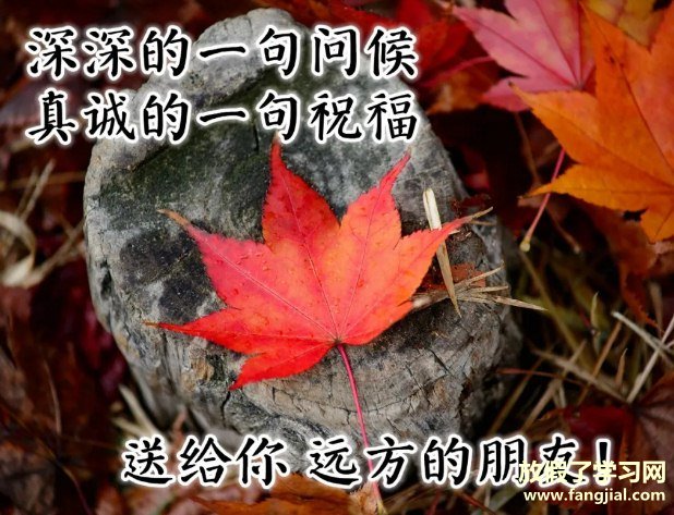 早上好图片 最新图片