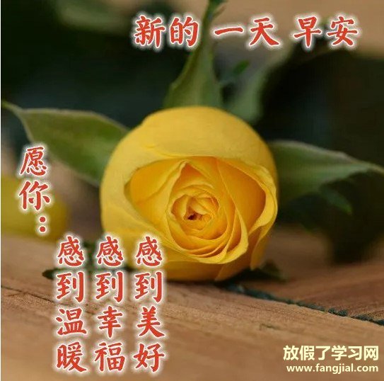 早上好图片 最新图片