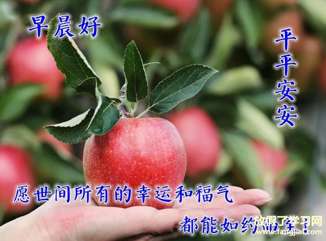早上好图片 最新图片