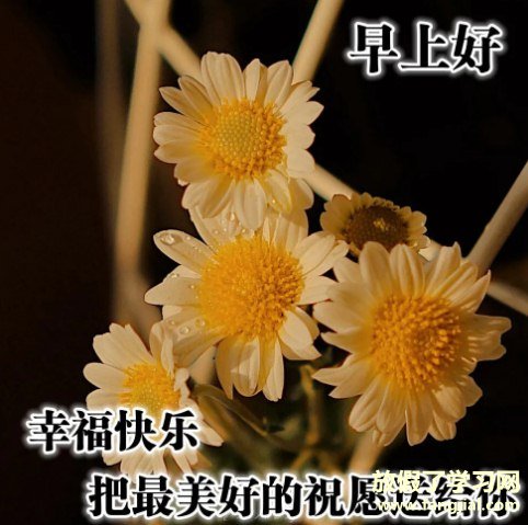 2021最新版早安说说图片最火的