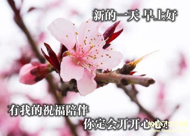 微信早安问候语配图片最新版2021