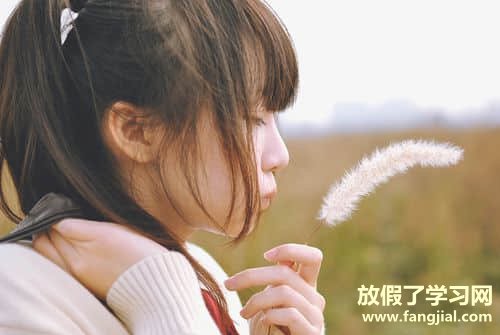 给喜欢的女生留言-给女生留言的暖心句子情话最暖心短句让女朋友感动到哭的话