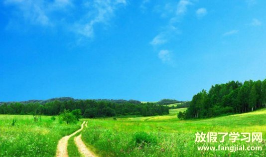 2021最受欢迎的早安心语小清新短句