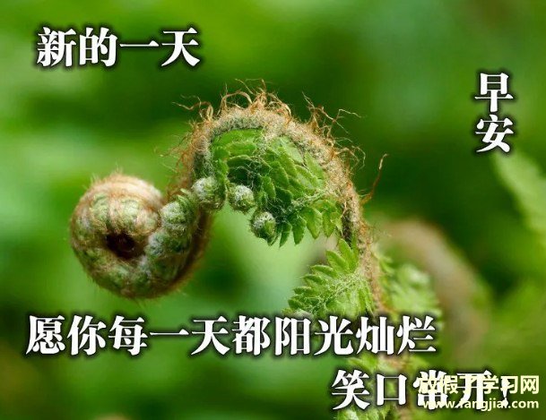 冬日温馨的早上好祝福图片点赞率最高的壁纸