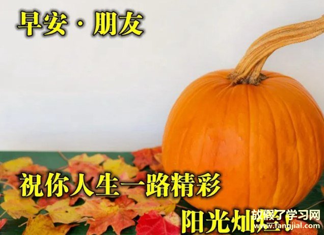 冬日温馨的早上好祝福图片点赞率最高的壁纸